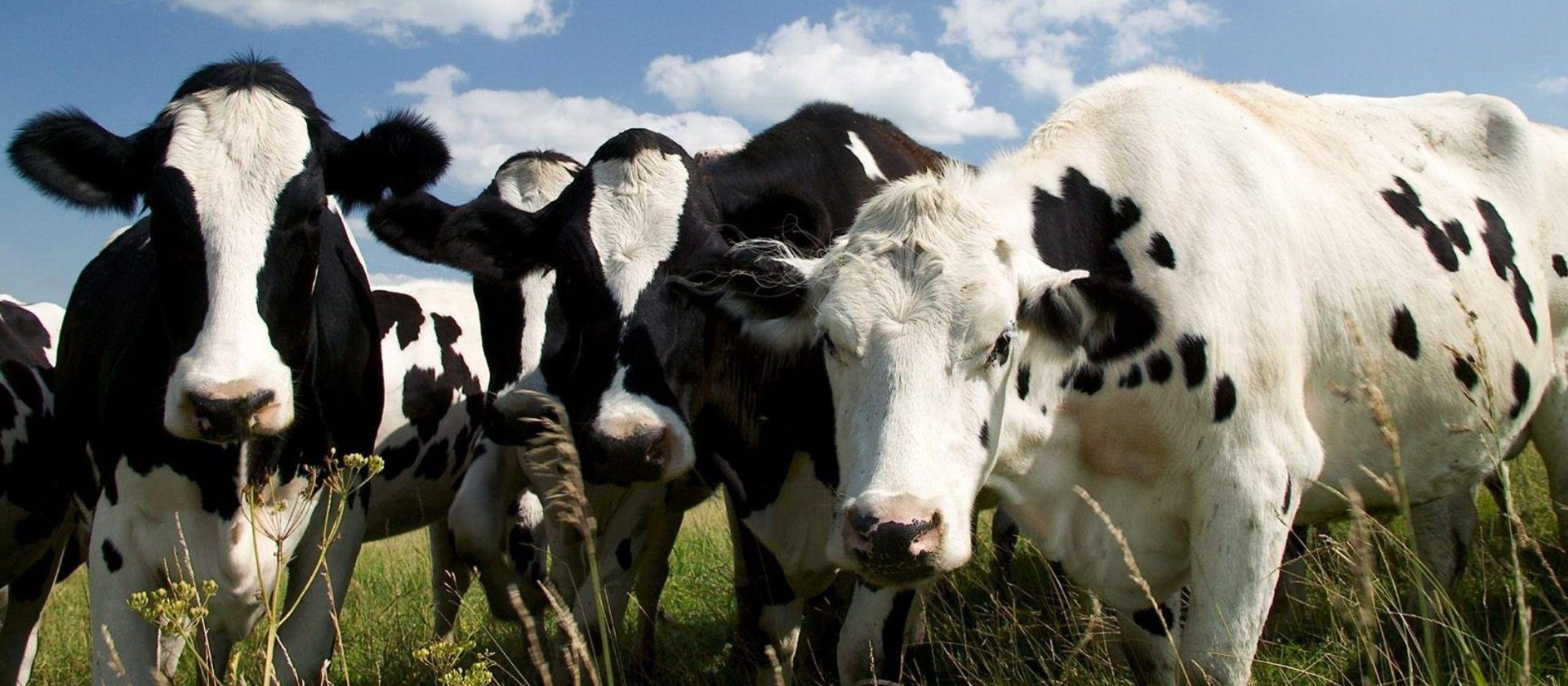 Slide #2 copy Slide background