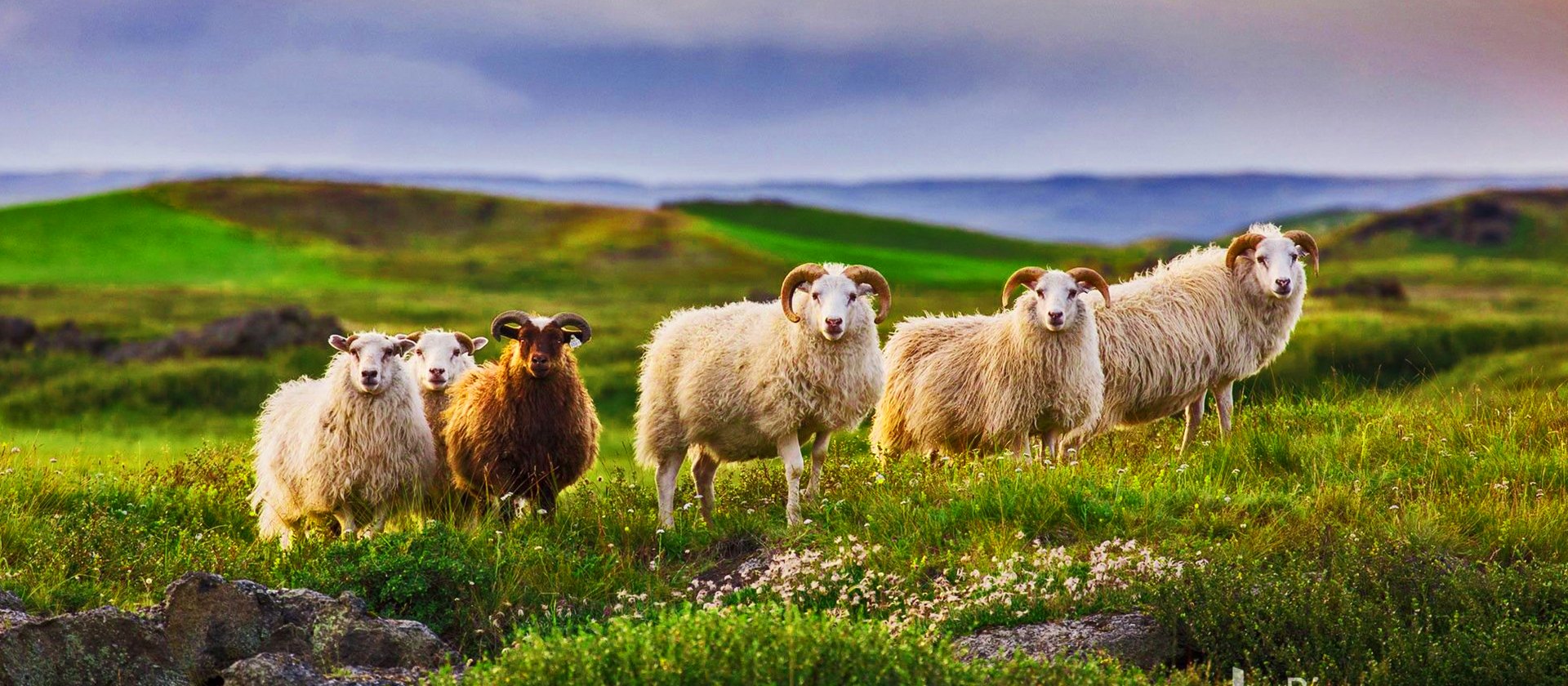 Slide #2 copy copy Slide background