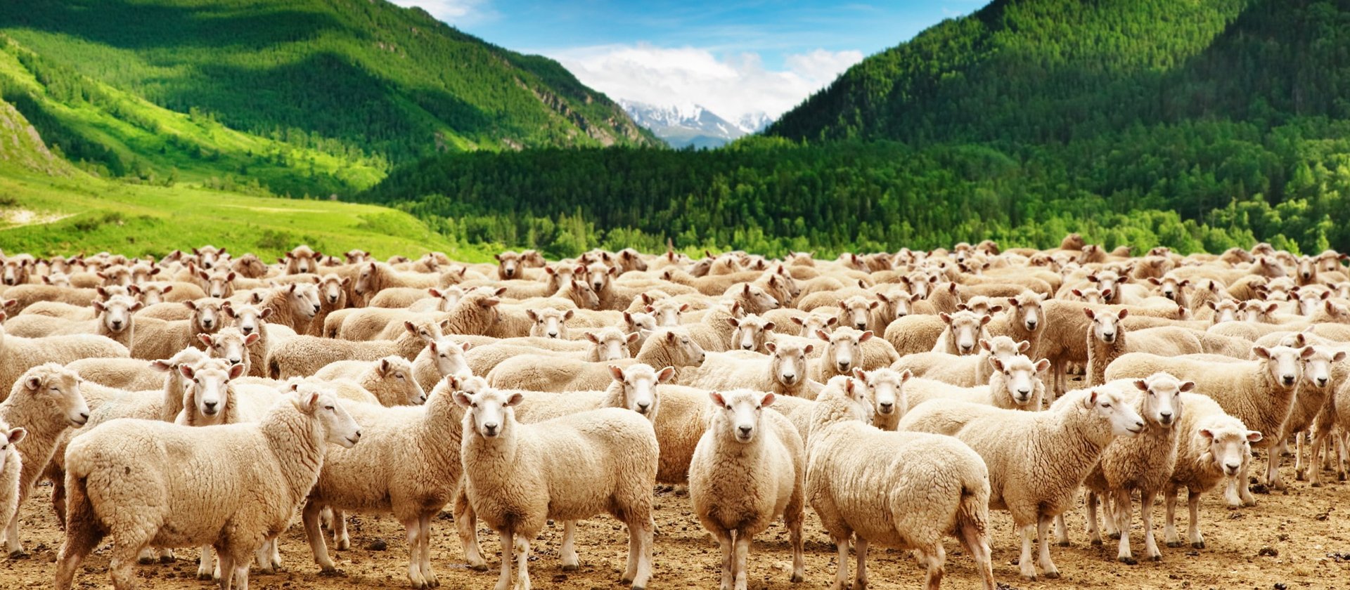 Slide #2 copy Slide background