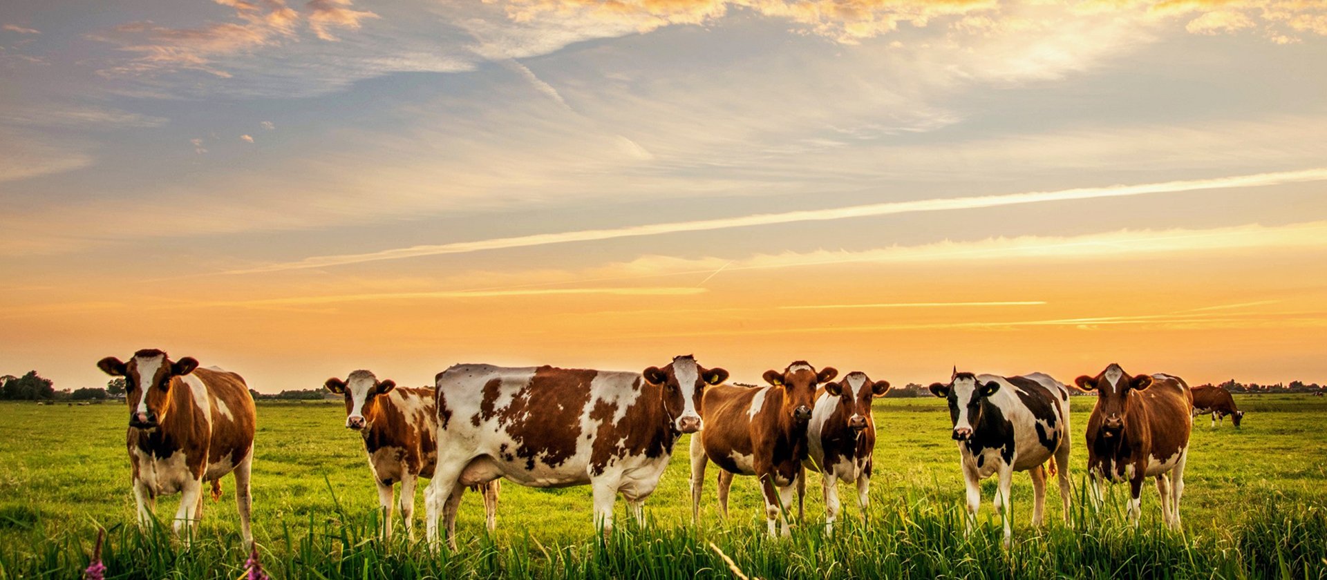 Slide #2 copy Slide background