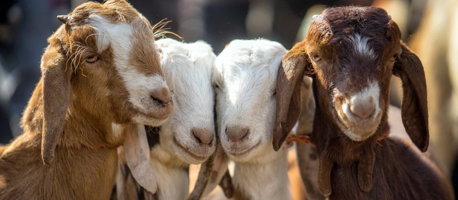 Slide #2 copy copy Slide background